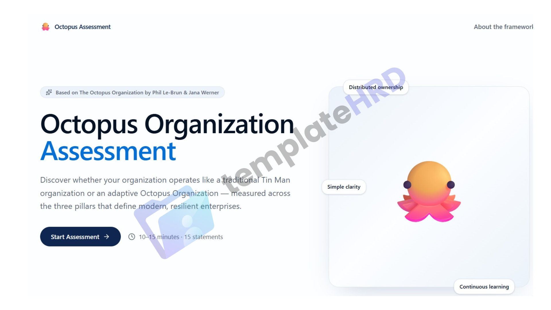 Octopus Organization Assessment